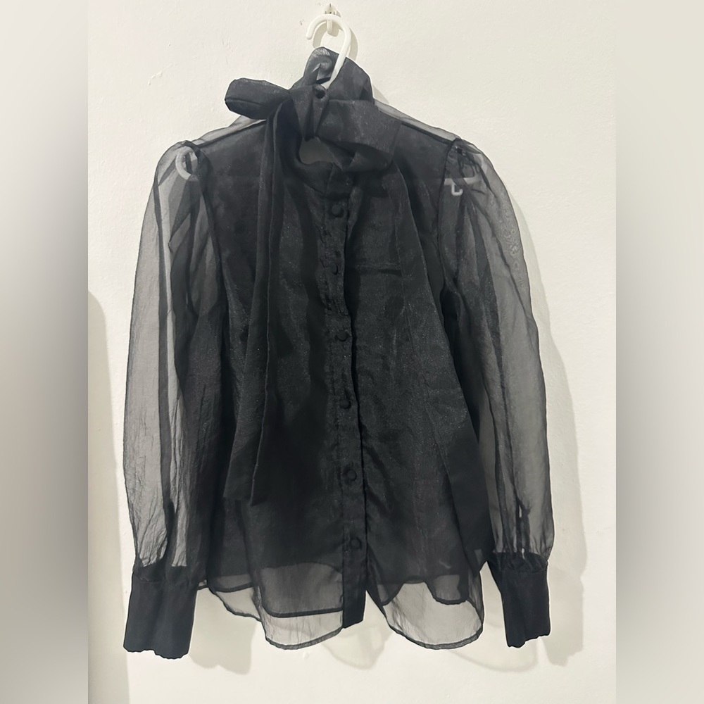 Zara Sheer long sleeve black blouse - XS